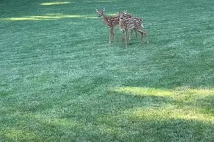 5897 Country Meadow Ln, Clifton, IL 61727 - Photo 54