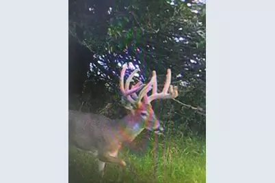 5897 Country Meadow Lane, Clifton, IL 61727 - Photo 4