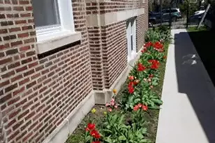 6132 N Paulina St, Chicago, IL 60660 - Photo 14