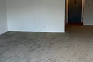 22A Kingery Quarter, Willowbrook, IL 60527 - Photo 4