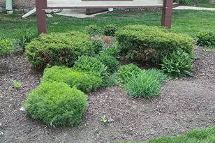 266 12th St, Wheeling, IL 60090 - Photo 14