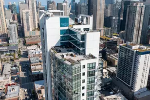 303 W Ohio St, Chicago, IL 60654 - Photo 24