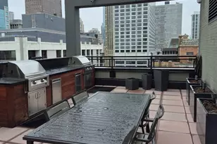 247 E Chestnut St, Chicago, IL 60611 - Photo 14