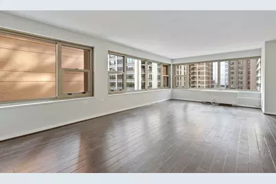 247 E Chestnut Street #1204, Chicago, IL 60611 - Photo 2
