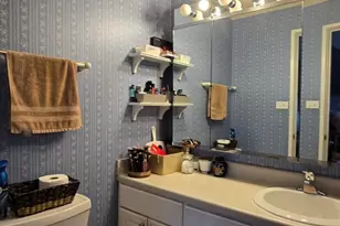 9601 S Karlov Ave, Oak Lawn, IL 60453 - Photo 14