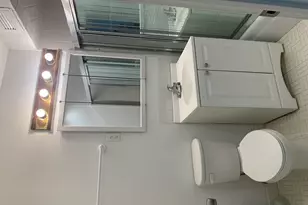 4850 S Lake Park Ave, Chicago, IL 60615 - Photo 22