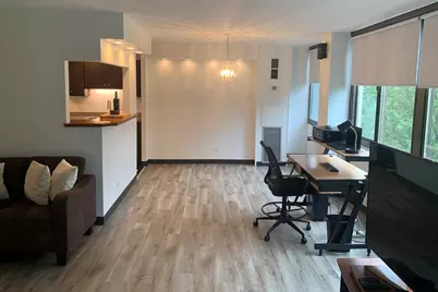 4850 S Lake Park Avenue #412, Chicago, IL 60615 - Photo 8