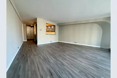 300 N State Street #2907, Chicago, IL 60654 - Photo 6