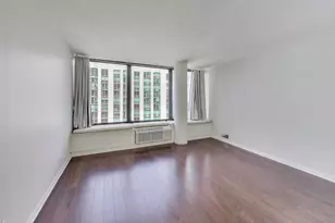 155 N Harbor Dr, Chicago, IL 60601 - Photo 12