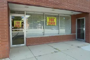 7924 S Pulaski Rd, Chicago, IL 60652 - Photo 1