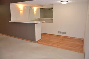 17155 Kamp Ct, Tinley Park, IL 60487 - Photo 18