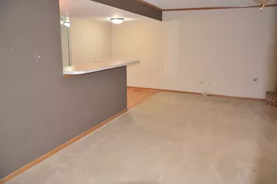 17155 Kamp Court #9, Tinley Park, IL 60487 - Photo 22