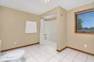 485 Trotter Dr, Coal City, IL 60416 - Photo 36