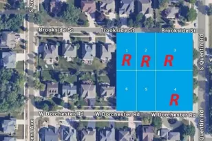 834 W Dorchester St, Palatine, IL 60067 - Photo 2