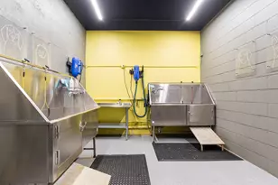 1250 N Lasalle St, Chicago, IL 60610 - Photo 20