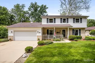 29 Tupelo Ave, Naperville, IL 60540 - Photo 1