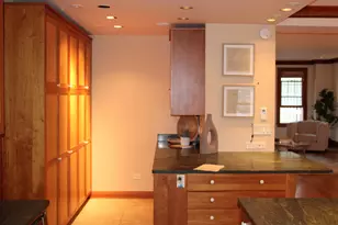 5000 S East End Ave, Chicago, IL 60615 - Photo 16