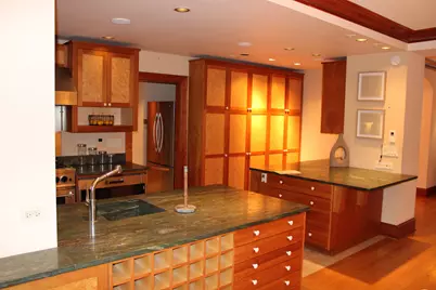 5000 S East End Avenue #24A, Chicago, IL 60615 - Photo 14