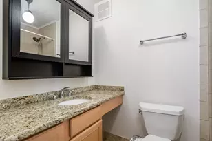 100 E Walton St, Chicago, IL 60611 - Photo 12