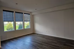 5954 Hawkweed Dr, Naperville, IL 60564 - Photo 12