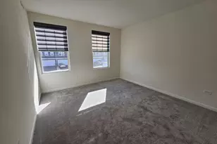 5954 Hawkweed Dr, Naperville, IL 60564 - Photo 28