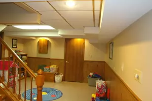 119 Pleasant Hill Ct, Frankfort, IL 60423 - Photo 28