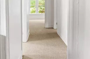 257 W 109th Pl, Chicago, IL 60628 - Photo 4