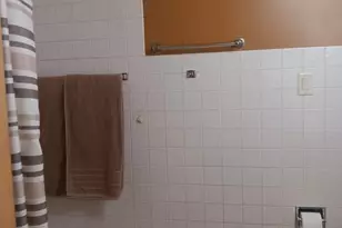 3514 170th Pl, Lansing, IL 60438 - Photo 10