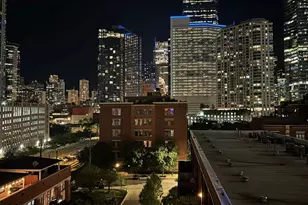 330 N Jefferson St, Chicago, IL 60661 - Photo 30