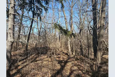 25118 W Catherine Drive, Antioch, IL 60002 - Photo 2