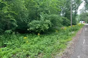 Lot 9-13 S Hickory Ave, Wilmington, IL 60481 - Photo 1