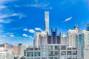 33 W Ontario St, Chicago, IL 60654 - Photo 10