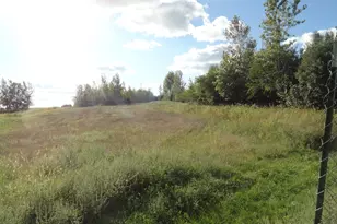 18250 Malvern Rd, Morrison, IL 61270 - Photo 34