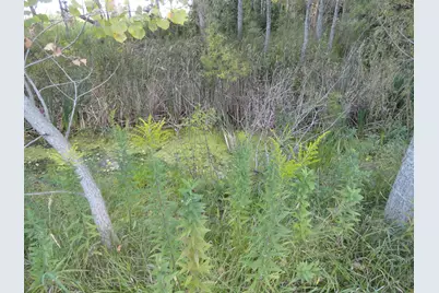 18250 Malvern Road, Morrison, IL 61270 - Photo 22