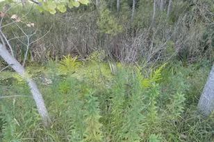 18250 Malvern Rd, Morrison, IL 61270 - Photo 22