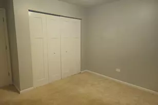 125 W Elk Trail, Carol Stream, IL 60188 - Photo 22