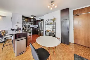 1000 N Lake Shore Dr, Chicago, IL 60611 - Photo 12