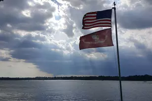 4 Forest Knls, Decatur, IL 62521 - Photo 30