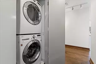 250 E Pearson St, Chicago, IL 60611 - Photo 38