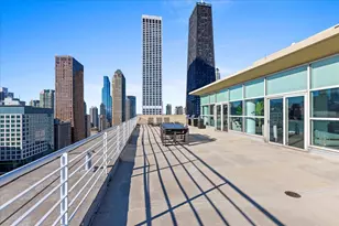 250 E Pearson St, Chicago, IL 60611 - Photo 42