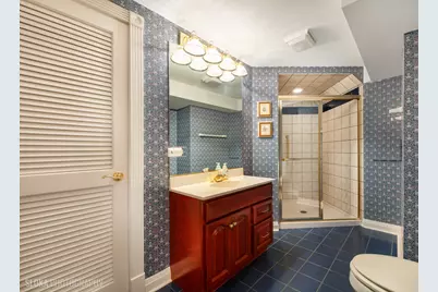 289 S South Shore Lane, Lake Forest, IL 60045 - Photo 24