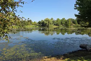 6322 Maple Glen Dr, Wonder Lake, IL 60097 - Photo 24