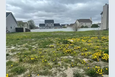 1170 Farmstone Drive, Diamond, IL 60416 - Photo 2