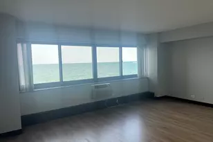 7337 S South Shore Dr, Chicago, IL 60649 - Photo 8