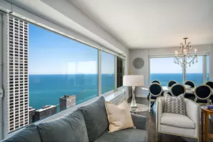 161 E Chicago Ave, Chicago, IL 60611 - Photo 8