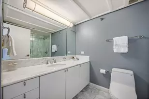 161 E Chicago Ave, Chicago, IL 60611 - Photo 36