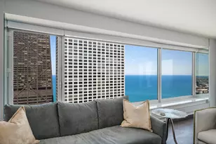 161 E Chicago Ave, Chicago, IL 60611 - Photo 14