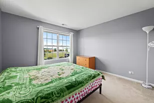 2904 Payton Xing, Johnsburg, IL 60051 - Photo 20