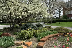 3415 Vollmer Rd, Flossmoor, IL 60422 - Photo 20