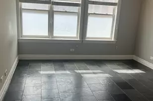 334 N Jefferson St, Chicago, IL 60661 - Photo 4